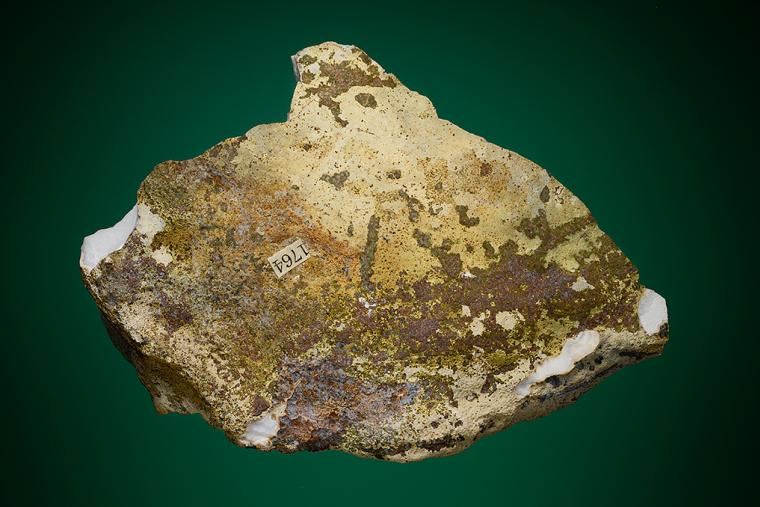 GOOSECREEKITE on QUARTZ var. Amethyst